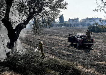Πυρκαγιές σε εξέλιξη Αχαΐα Πάτρα Χίος Ζάκυνθος -Μάχη με τις φλόγες σε Κηπουριές, Φυτά και Καμπιά στη Χίο, διάσπαρτες εστίες στην Πάτρα
