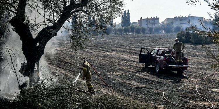 Πυρκαγιές σε εξέλιξη Αχαΐα Πάτρα Χίος Ζάκυνθος -Μάχη με τις φλόγες σε Κηπουριές, Φυτά και Καμπιά στη Χίο, διάσπαρτες εστίες στην Πάτρα