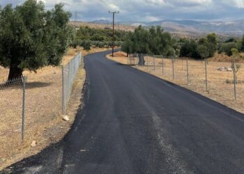 Α. Δρίκος: Συνεχίζουμε με αλλεπάλληλα έργα!