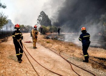 ΑΑΔΕ: Ολοσχερής καταστροφή στα οχήματα, που φυλάσσονται στο Τελωνείο Πάτρας