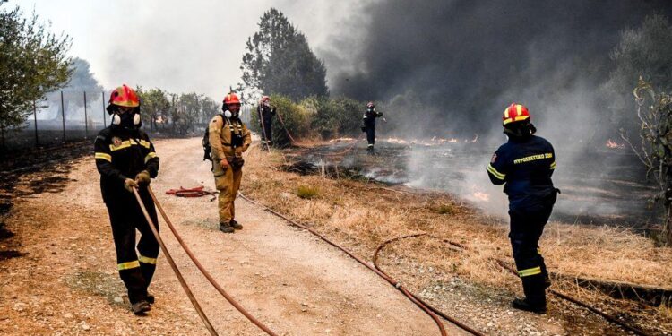 ΑΑΔΕ: Ολοσχερής καταστροφή στα οχήματα, που φυλάσσονται στο Τελωνείο Πάτρας