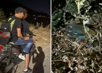 «Πίναμε μπύρες και είπαμε να βάλουμε φωτιά» – Τι λέει ο 19χρονος που κατηγορείται για την πυρκαγιά στα Συχαινά