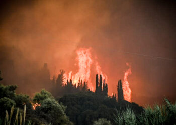 Πάτρα: Μήνυμα του 112 για την πυρκαγιά στην περιοχή Συχαινών