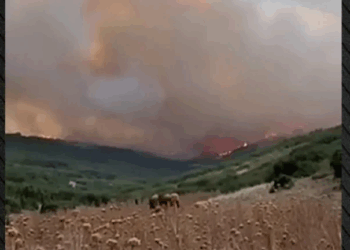 Μεγάλη φωτιά στον Τύρναβο: Μάχη με τις φλόγες σε δύσβατη δασική περιοχή