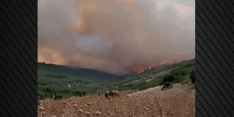 Μεγάλη φωτιά στον Τύρναβο: Μάχη με τις φλόγες σε δύσβατη δασική περιοχή