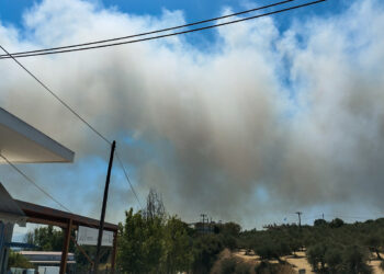 Πυρκαγιά στην περιοχή του Ερυμάνθου: Νέο μήνυμα από το «112» – Διακοπή κυκλοφορίας από τον κόμβο ΒΙΠΕ προς την εθνική οδό Πάτρας-Τρίπολης