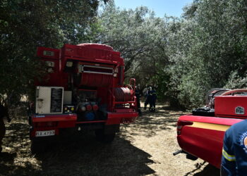 Πολύ υψηλός κίνδυνος πυρκαγιάς σήμερα σε Ρόδο, Σάμο και Ικαρία