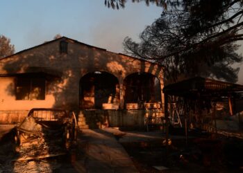 Ολοκληρώθηκαν οι αυτοψίες σε Αχαΐα, Πρέβεζα, Άρτα, Ζάκυνθο