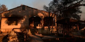 Ολοκληρώθηκαν οι αυτοψίες σε Αχαΐα, Πρέβεζα, Άρτα, Ζάκυνθο