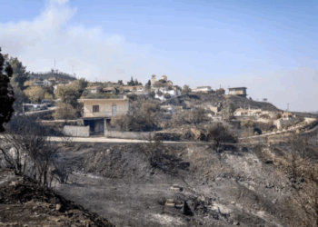 «Δεν θυμάμαι, είχα πιει πολύ τσίπουρο», ισχυρίστηκε ο 27χρονος που κατηγορείται για εμπρησμό στα Συχαινά