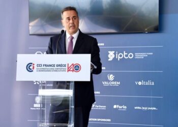 Στ. Παπασταύρου: «Ελλάδα-Γαλλία συνεργασία και στην ενέργεια»
