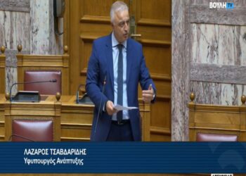 Τσαβδαρίδης σε Μπιμπίλα: “Το δημογραφικό αποτελεί ύψιστη προτεραιότητα για την Κυβέρνηση της ΝΔ”