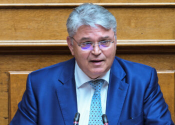 Δημήτρης Νατσιός: Άμεση ανάγκη η στρατιωτικοποίηση των συνόρων μας