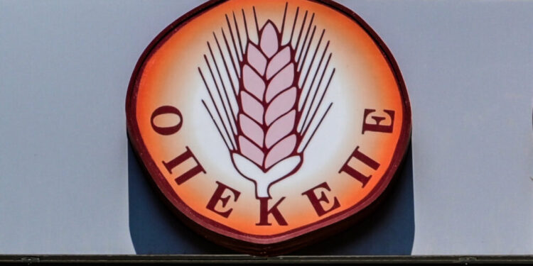 «Επιδοτήσεις-Φάντασμα»: Στο μικροσκόπιο 500 ΑΦΜ για 20 εκατ. ευρώ – Πόρισμα Χρυσοχοΐδη με πάγωμα λογαριασμών και διώξεις