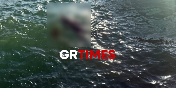 Θεσσαλονίκη: Ταυτοποιήθηκε η μία από τις δύο σορούς που βρέθηκαν στον Θερμαϊκό