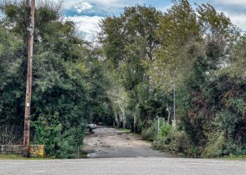 Παρατηρητήριο εξουσίας: Ερωτικό υπόβαθρο στο φονικό της Καλαμάτας ;