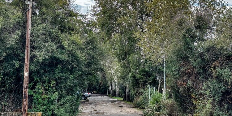 Παρατηρητήριο εξουσίας: Ερωτικό υπόβαθρο στο φονικό της Καλαμάτας ;