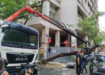 Δέντρο τραυμάτισε πολίτη: Οι αναγνώστες της TP καταγγέλλουν αργοπορίες