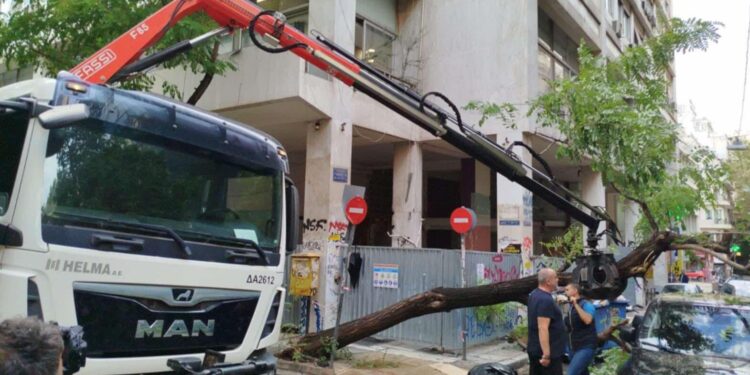 Δέντρο τραυμάτισε πολίτη: Οι αναγνώστες της TP καταγγέλλουν αργοπορίες